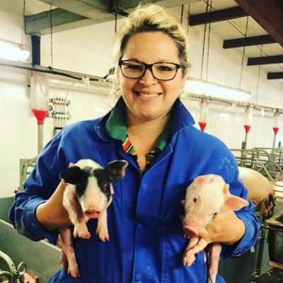 Rebecca Veale pigs